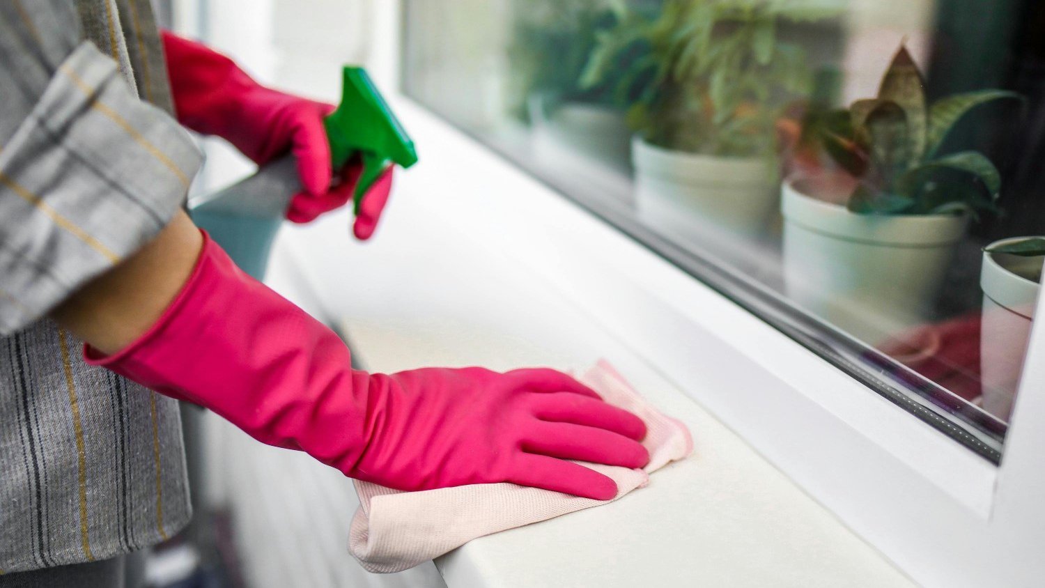 Particuliere Schoonmaak